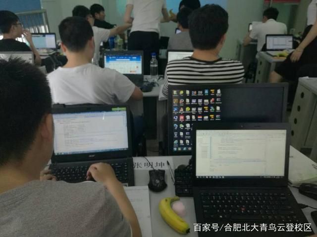 汽車(chē)維修與計(jì)算機(jī)軟件開(kāi)發(fā) 職業(yè)前景的深度對(duì)比分析